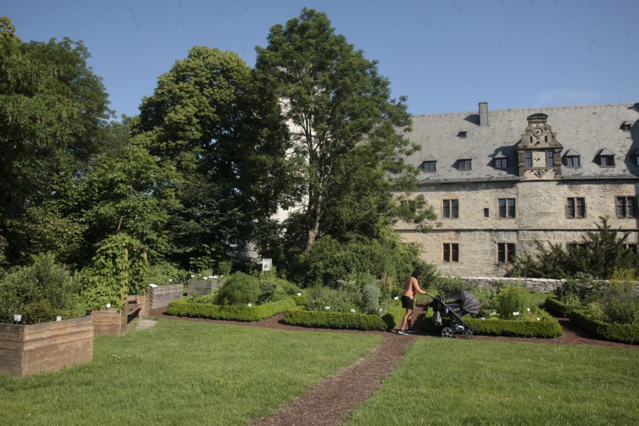 Der Kräutergarten des Kreismuseums Wewelsburg bietet sich als Ausgangs- oder Endpunkt für einen Rundgang durch die Dauerausstellung des Historischen Museums des Hochstifts Paderborn an. Am Sonntag den 5. Juli stehen um 11 Uhr Museumspädagoginnen für Rückfragen zur Verfügung. (Copyright Kreismuseum Wewelsburg)